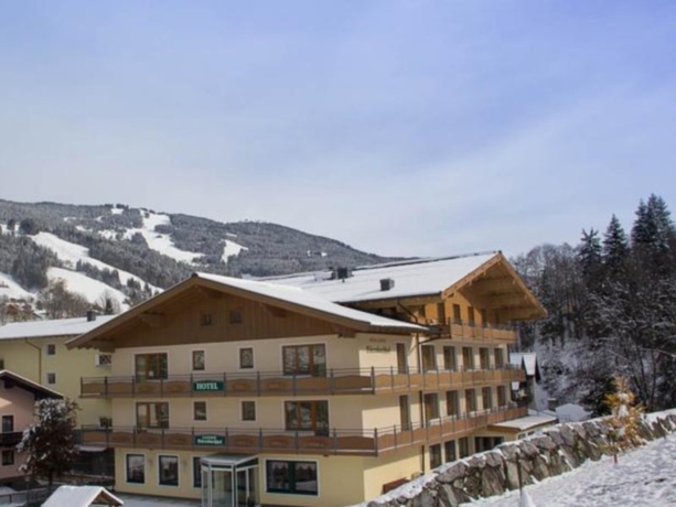 Imagen general del Hotel Bärenbachhof. Foto 7