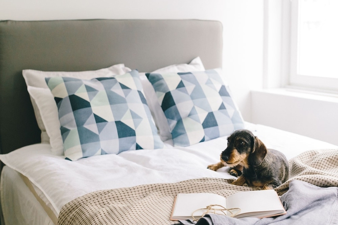 Imagen de la habitación del Hotel Bättre Boende. Foto 19