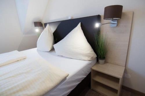 Imagen general del Hotel Baums Rheinhotel. Foto 5