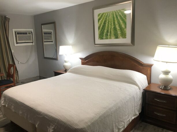 Imagen de la habitación del Hotel Bay Breeze Inn Bradenton Downtown. Foto 14
