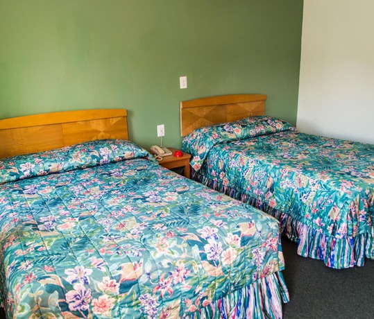 Imagen de la habitación del Hotel Bay Drive Motel. Foto 5
