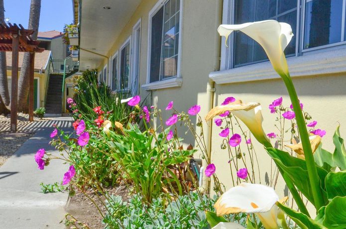 Imagen de los exteriores del Hotel Bay Front Inn Santa Cruz. Foto 11