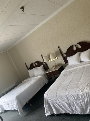 Imagen de la habitación del Hotel Bay Valley Resort and Conference Centre. Foto 12