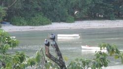 Imagen general del Hotel BayView Seychelles. Foto 32