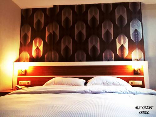 Imagen de la habitación del Hotel Bayazit. Foto 6