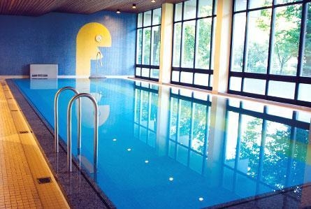 Imagen de la piscina del Hotel Bayern Vital. Foto 11