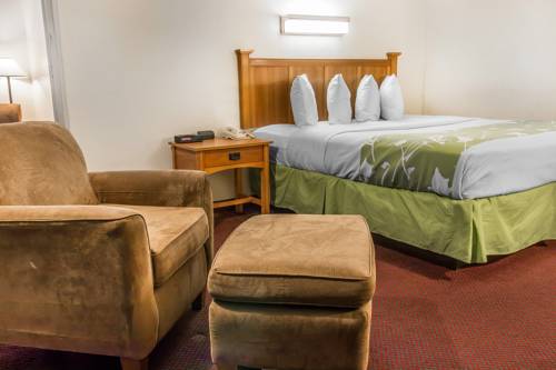 Imagen de la habitación del Hotel Baymont By Wyndham Bay City. Foto 9