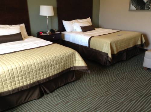 Imagen de la habitación del Hotel Baymont By Wyndham Bellevue. Foto 14