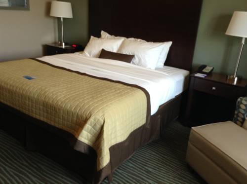 Imagen de la habitación del Hotel Baymont By Wyndham Bellevue. Foto 15