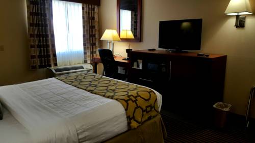 Imagen de la habitación del Hotel Baymont By Wyndham Bowling Green. Foto 8