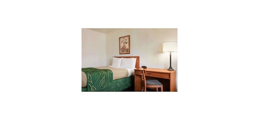 Imagen de la habitación del Hotel Baymont By Wyndham Buffalo. Foto 14