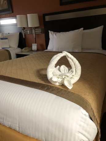 Imagen de la habitación del Hotel Baymont By Wyndham Cincinnati. Foto 9