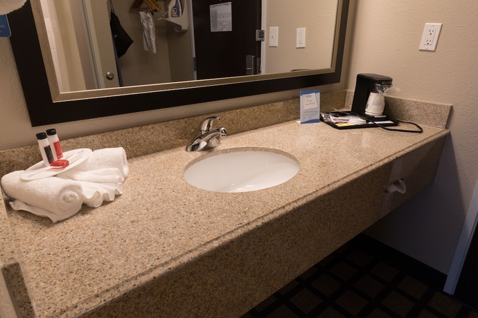 Imagen de la habitación del Hotel Baymont By Wyndham Detroit Airport/romulus. Foto 16