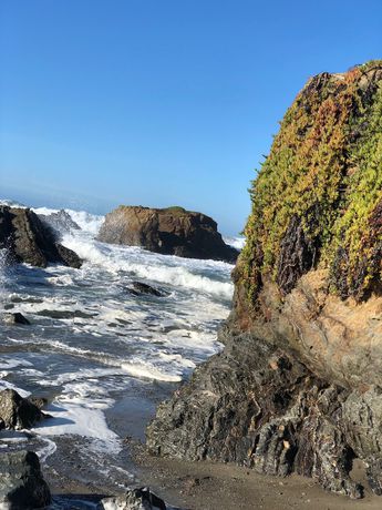 Imagen de los exteriores del Hotel Baymont By Wyndham Fort Bragg. Foto 19