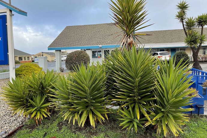 Imagen general del Hotel Baymont By Wyndham Fort Bragg. Foto 5