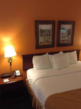 Imagen de la habitación del Hotel Baymont By Wyndham Jackson/ridgeland. Foto 9