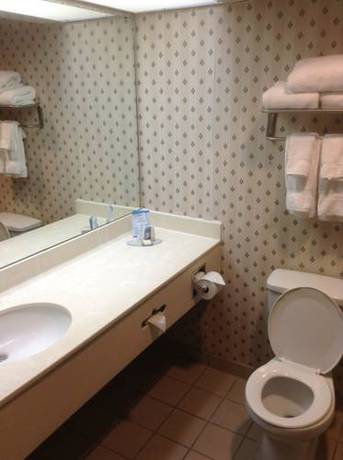 Imagen de la habitación del Hotel Baymont By Wyndham Jackson/ridgeland. Foto 11