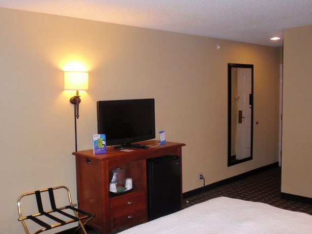 Imagen de la habitación del Hotel Baymont By Wyndham Lewisville. Foto 17
