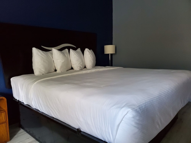 Imagen de la habitación del Hotel Baymont By Wyndham London Ky. Foto 5