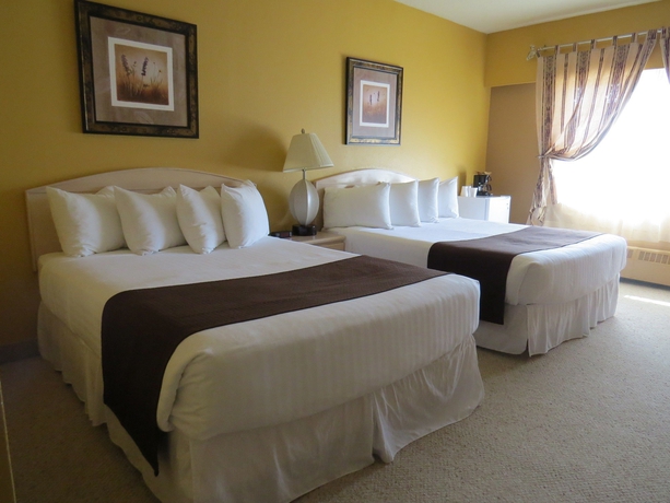 Imagen de la habitación del Hotel Baymont By Wyndham Medicine Hat. Foto 11