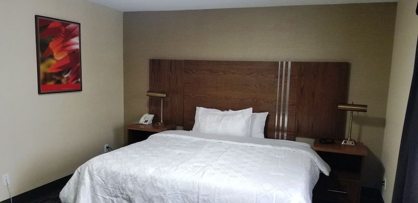 Imagen de la habitación del Hotel Baymont By Wyndham Montreal Airport. Foto 8