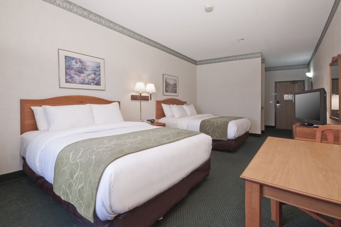 Imagen de la habitación del Hotel Baymont By Wyndham Phoenix North. Foto 6
