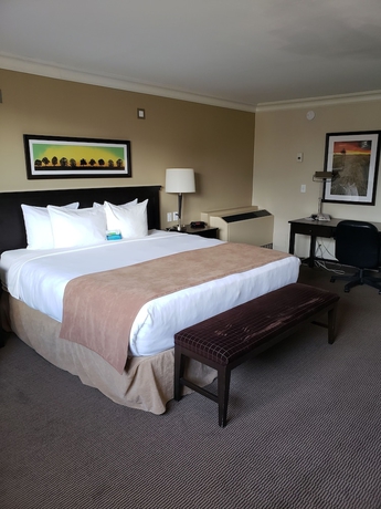 Imagen de la habitación del Hotel Baymont By Wyndham Red Deer. Foto 10