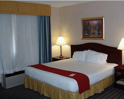 Imagen de la habitación del Hotel Baymont Inn & Suites Braselton. Foto 4