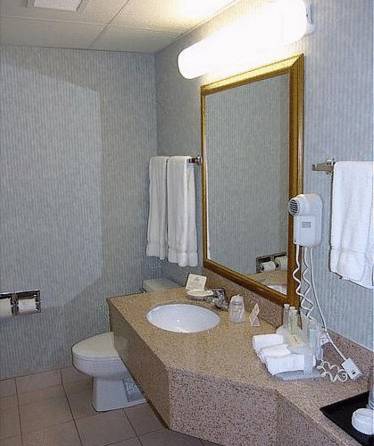 Imagen de la habitación del Hotel Baymont Inn & Suites Braselton. Foto 6