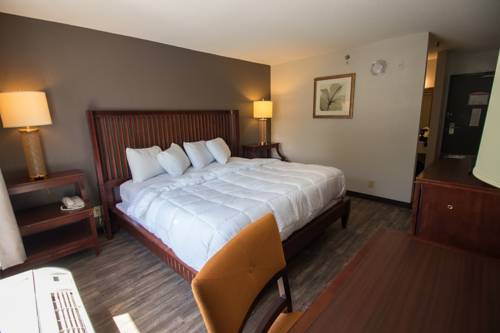 Imagen de la habitación del Hotel Baymont Inn and Suites by Wyndham Columbus / Near OSU. Foto 6