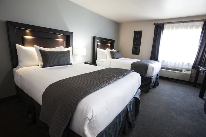 Imagen de la habitación del Hotel Baymont by Wyndham Glenview. Foto 9