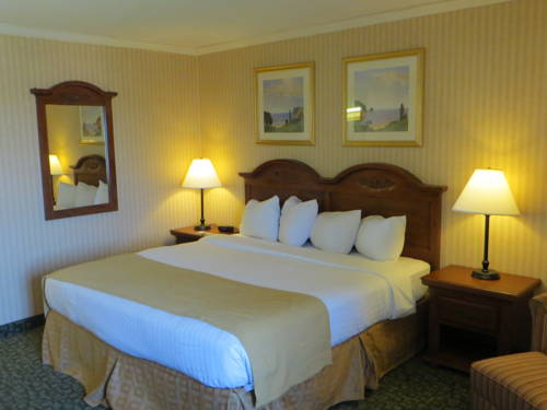 Imagen de la habitación del Hotel Baymont by Wyndham Kalamazoo West. Foto 4
