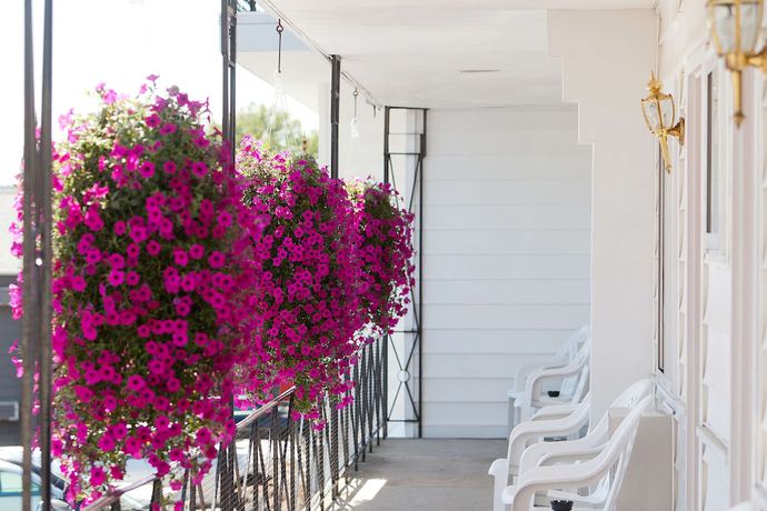 Imagen de los interiores del Hotel Baymont by Wyndham Lake George. Foto 8