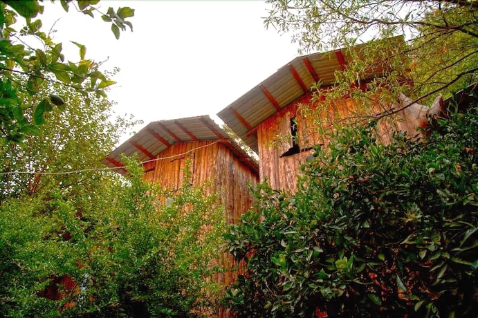 Imagen de la habitación del Hotel Bayrams Tree Houses. Foto 6