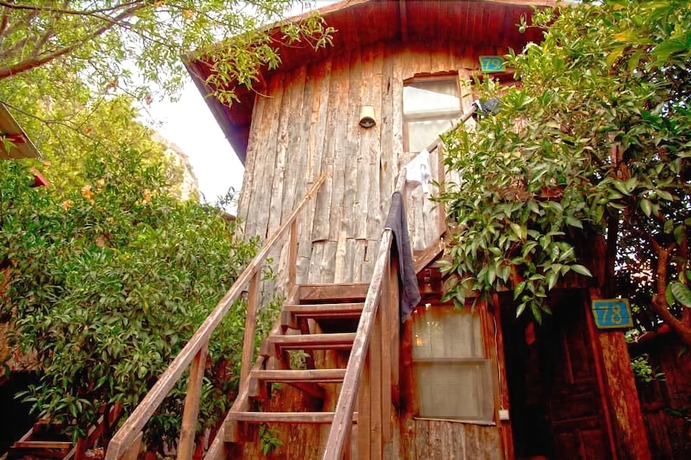 Imagen de la habitación del Hotel Bayrams Tree Houses. Foto 13