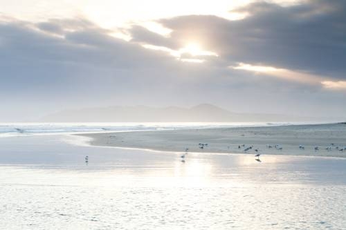 Imagen general del Hotel Bayshore Bungalows. Foto 19