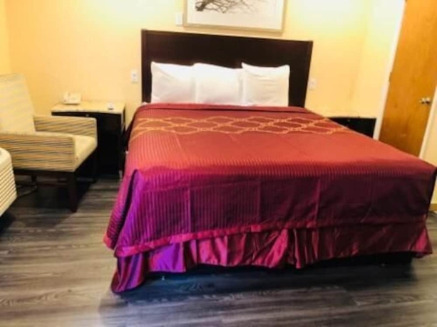 Imagen de la habitación del Hotel Bayshore Inn, San Jose. Foto 15