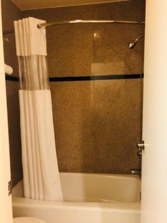 Imagen de la habitación del Hotel Bayshore Inn, San Jose. Foto 19