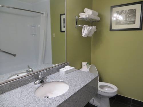 Imagen de la habitación del Hotel Bayshore Inn and Spa. Foto 11