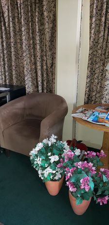 Imagen de los interiores del Hotel Bayside Inn, St Ignace. Foto 18