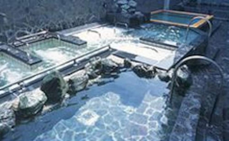 Imagen de la piscina del Hotel Bayside Marina Hotel Yokohama. Foto 20