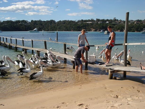 Imagen general del Hotel Bayview Apartments Merimbula. Foto 3