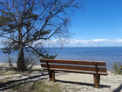 Imagen general del Hotel Baza Otdykha Teremki. Foto 3