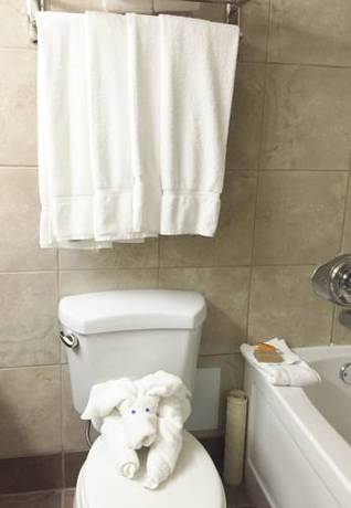 Imagen de la habitación del Hotel Bcminns - Lloydminster. Foto 13