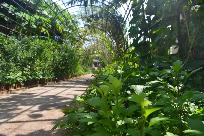 Imagen de los exteriores del Hotel Be Fine Sabuy and Resort. Foto 17