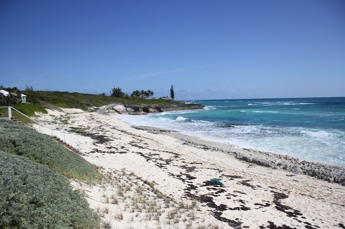 Imagen general del Hotel Beach Bags. Foto 2