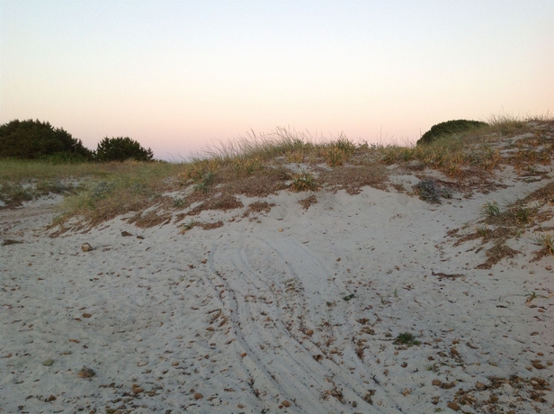 Imagen de los exteriores del Hotel Beach Budoni. Foto 12