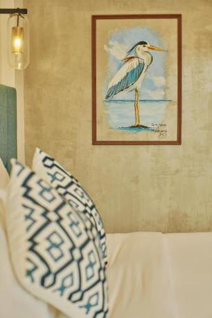 Imagen general del Hotel Beach Dhigurah. Foto 16