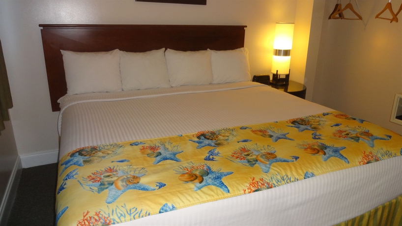 Imagen de la habitación del Hotel Beach Place. Foto 11