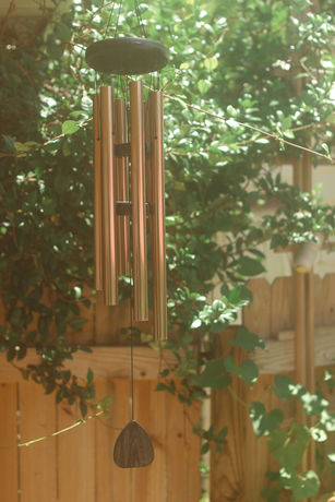 Imagen de los exteriores del Hotel Beach Place Guesthouses. Foto 5